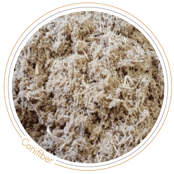 Conifiber